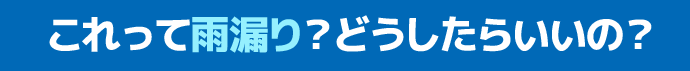 これって雨漏り？どうしたらいいの？