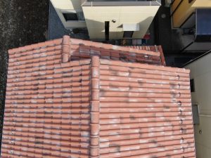 屋根・外壁調査　近江八幡市